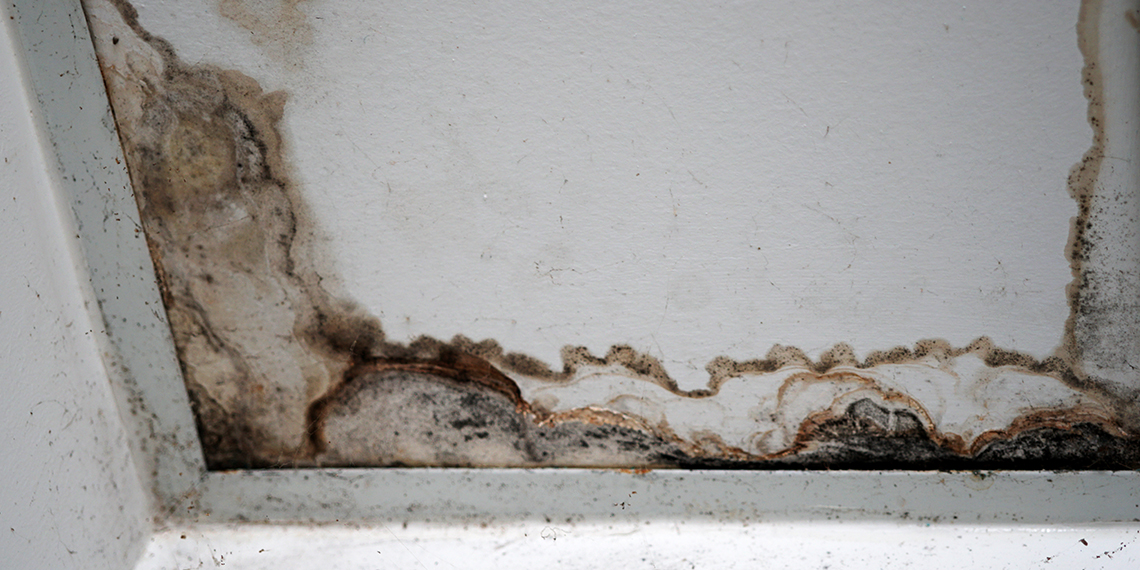 Brown Spots on Your Ceiling Causes, Concerns, and Solutions